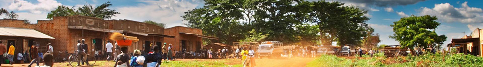 African Countryside International Consulting